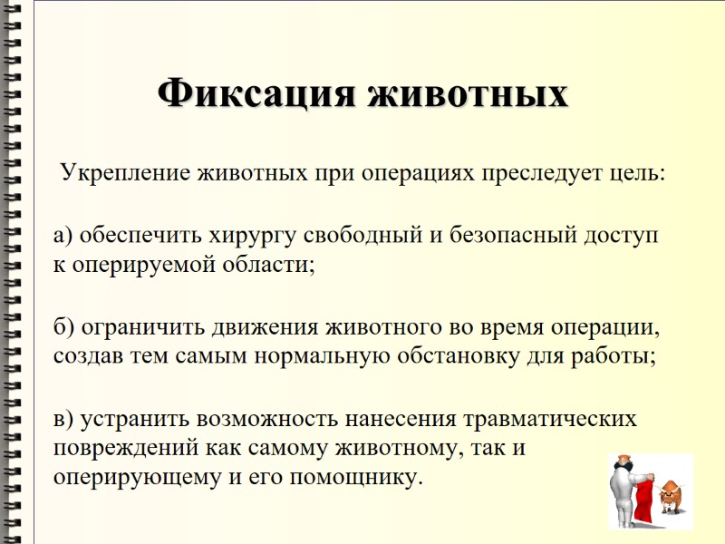 Фиксация животных Укрепление животных при операциях преследует цель:  а) обеспечить хирургу свободный и